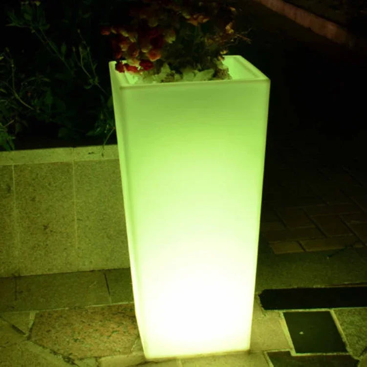 Bac Plante Lumineux